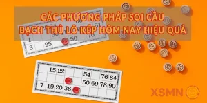 Bạch thủ lô kép 247 - Khám phá cách bắt số chất lượng mỗi ngày