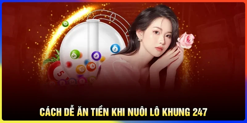 Cách nuôi lô khung 247 bao ăn tiền cho bet thủ