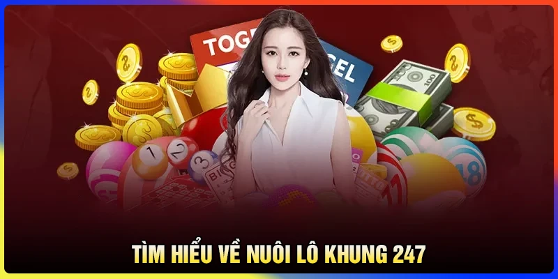 Tìm hiểu về nuôi lô khung 247 